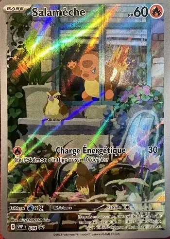 Carte pokemon xxl lougaroc